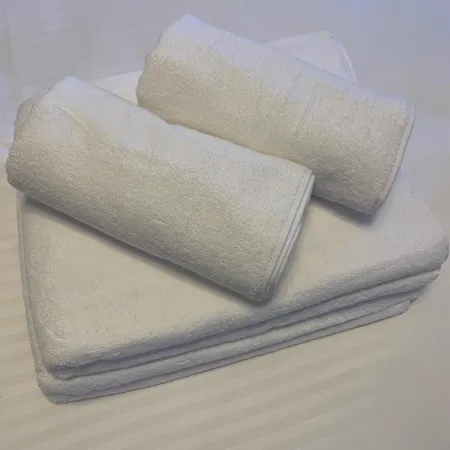 Diplomat Haven Апартаменты Sremska Kamenica