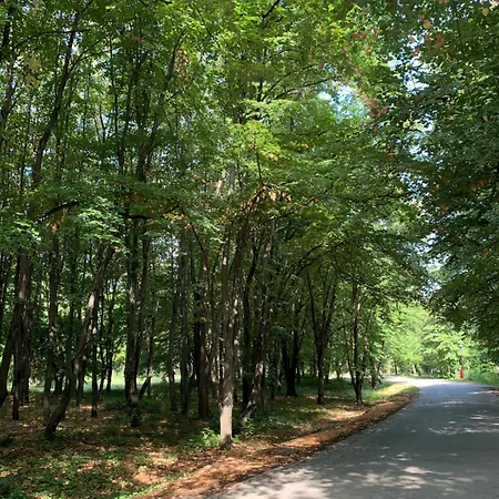 Diplomat Haven Sremska Kamenica