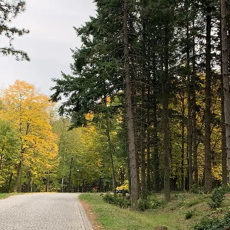 Diplomat Haven Апартаменты *