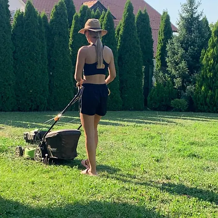 Апартаменты Diplomat Haven *