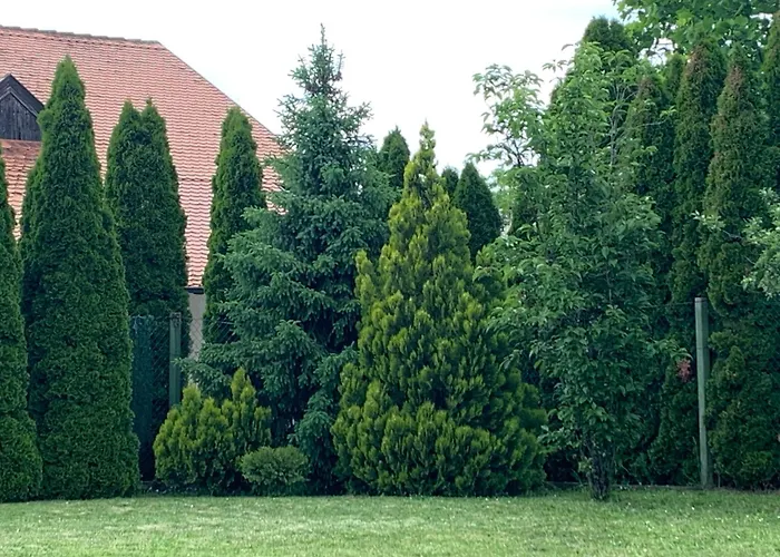 Diplomat Haven Sremska Kamenica