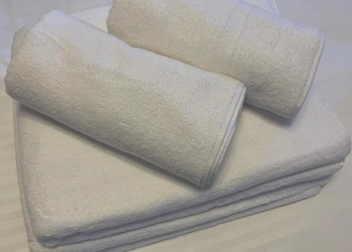 Diplomat Haven アパート Sremska Kamenica