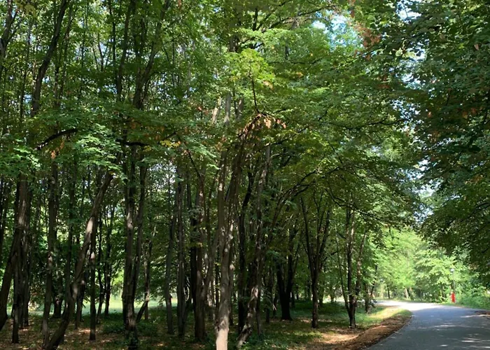 Diplomat Haven Sremska Kamenica