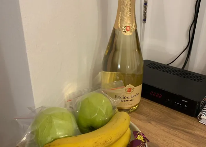 Diplomat Haven アパート Sremska Kamenica